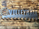 Volleyball Medal Display hooks